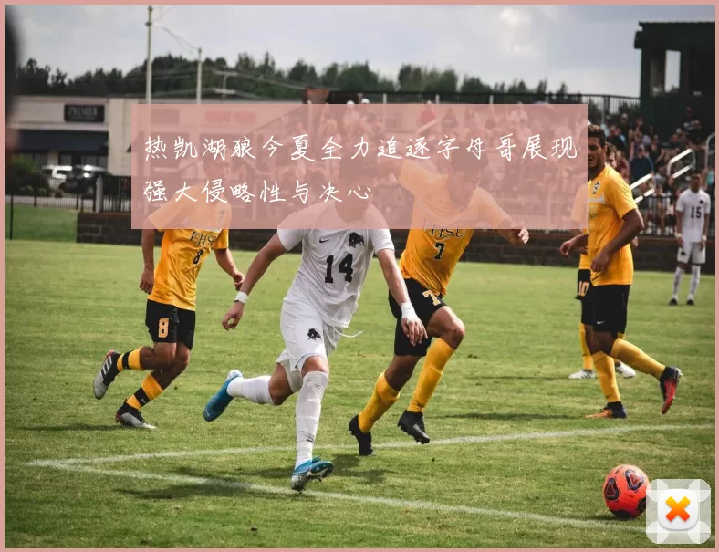 热凯湖狼今夏全力追逐字母哥展现强大侵略性与决心